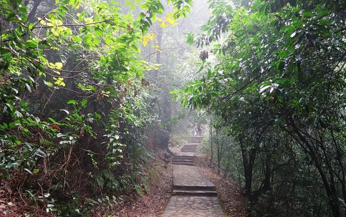 车子|两大学生夜骑单车下山,车子失控一死一伤,家属向景区索赔83万!