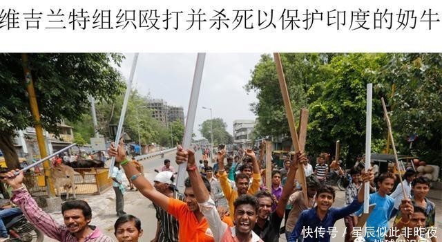 到底|印度,到底让不让吃牛肉?|地球知识局