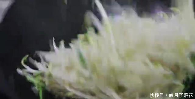 大厨|大厨教你如何炒绿豆芽,他又脆又爽口,豆芽不出水