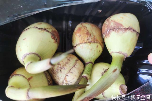 食用菌|不是食用菌的菇,吃了对身体更好