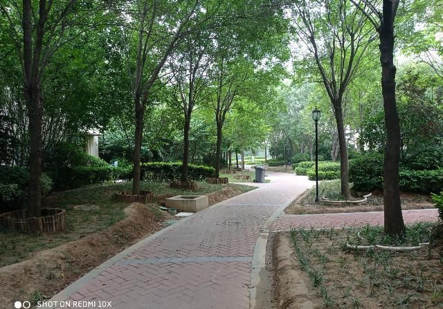  老年|被低估的大屏老年机：Redmi 10X开箱和轻体验