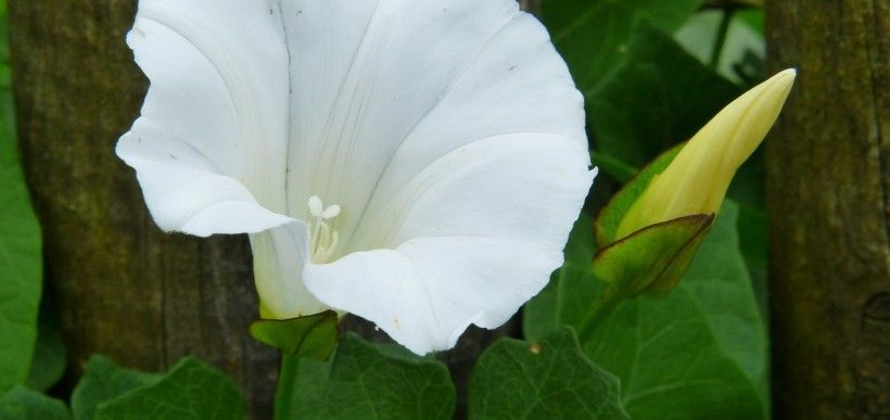  意外|8月好运缠身，4大星座意外之财说来就来！