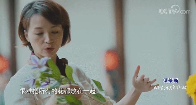  生活|这档被埋没的神仙综艺，值一个热搜！董卿插花比主持更美