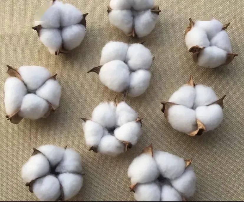 时装|棉麻丝绒时装特辑| 我们兵分四路之后的幕后故事