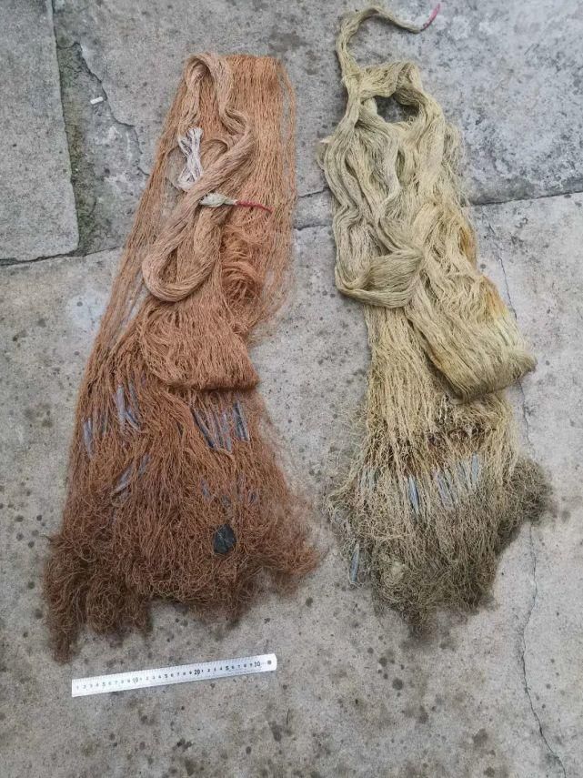 渔业|@南通人 有奖举报,最高奖2万!