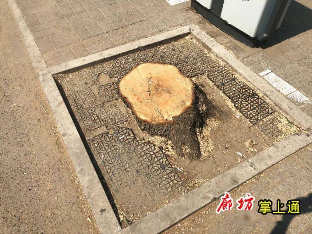 至建设路|实拍!廊坊城南这条主干道拓宽动工!