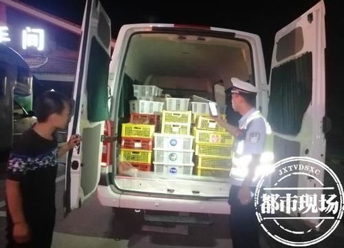  装载|违规装载千只孔雀苗！驾驶员竟欲塞钱给民警：“我这是茶叶鸡”
