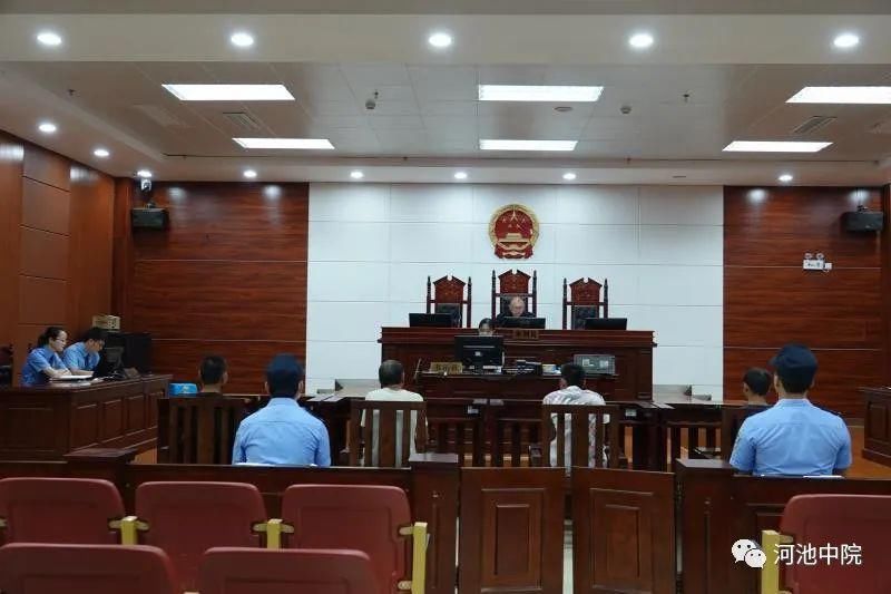  族自治区|说法 | 抓青蛙也犯法！环江4名男子抓了116只野生蛙被判刑