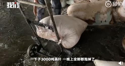 大哭|公交司机蓄意报复、痛失9000万男子大哭:总有一种爱温暖你