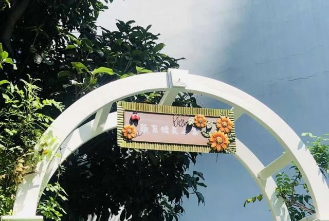 种植园|「园所动态」“我为种植园取名字”——诺亚舟和庄幼儿园