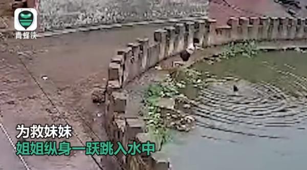  姐姐|5岁妹妹不慎落水，8岁姐姐跳水施救！万幸的是....