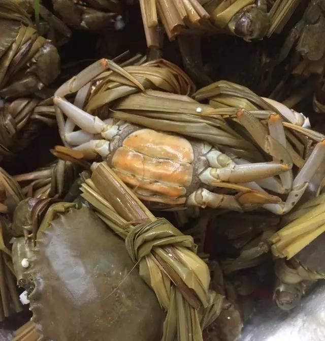 海鲜|世界上65种珍奇海鲜,贝爷都不敢说全部吃过,你吃过几种