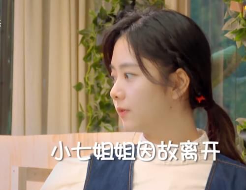  迎来|《小森林》迎来第一位飞行嘉宾，取代谭松韵，还被萌娃认成张新成