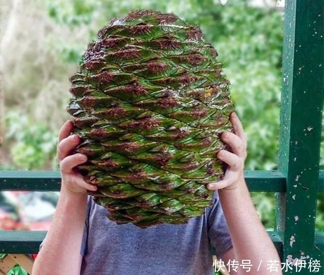  震撼|26张“活久见”的震撼图片，每一张都来之不易