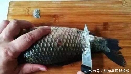 对鱼鳞进行|原来刮鱼鳞这么简单,一个塑料袋就搞定可惜很多人不懂,都学学
