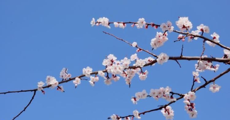  无忧|8月开始财富翻番，事业顺风顺水，一生富贵无忧的四大属相