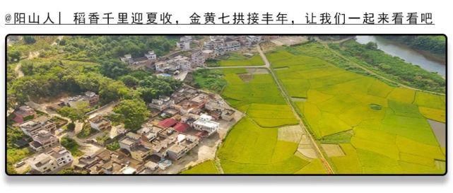 七拱派出所|点赞！！阳山七拱所快破盗窃案，群众真诚感谢送锦旗