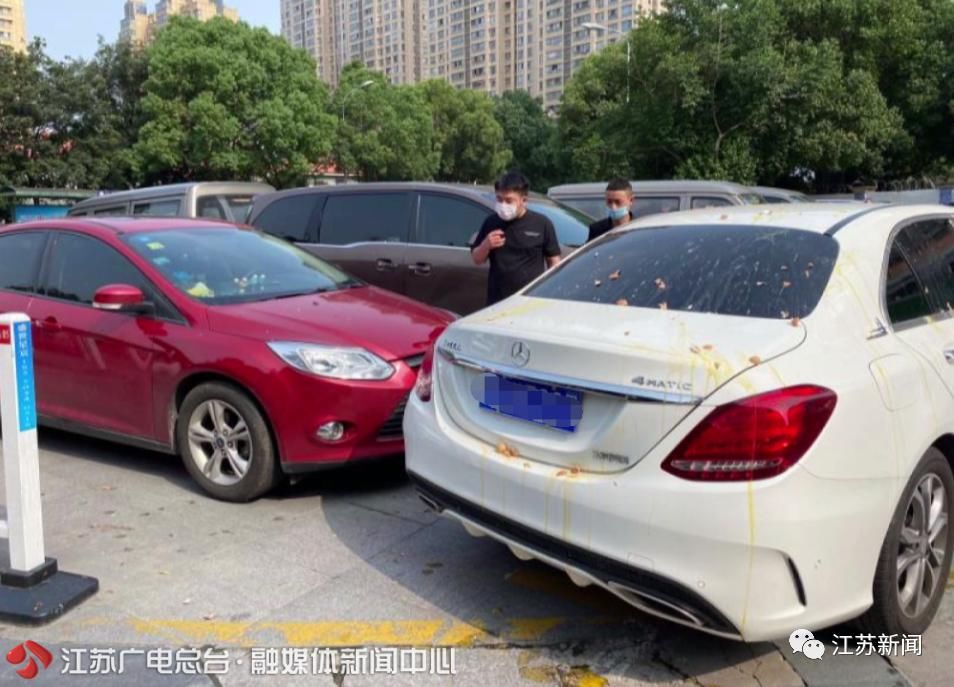  奔驰车|车位被堵，男子花18块钱买鸡蛋怒砸奔驰车！结果赔了2.1万