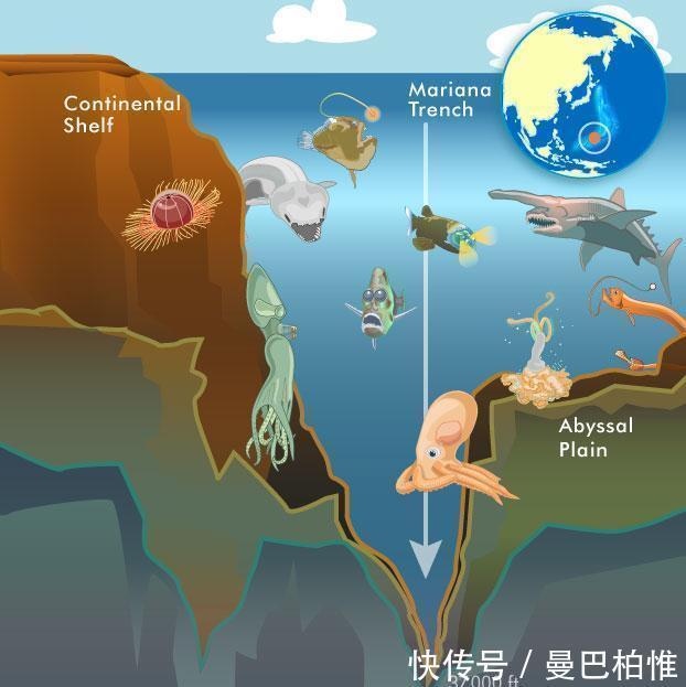 人类|从0米到10000米,海平面到地球的最深处海洋多可怕
