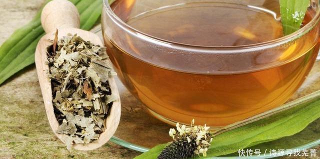  常见|我们的祖先如何对抗痛风有3种神奇植物，还有1种常见野草！