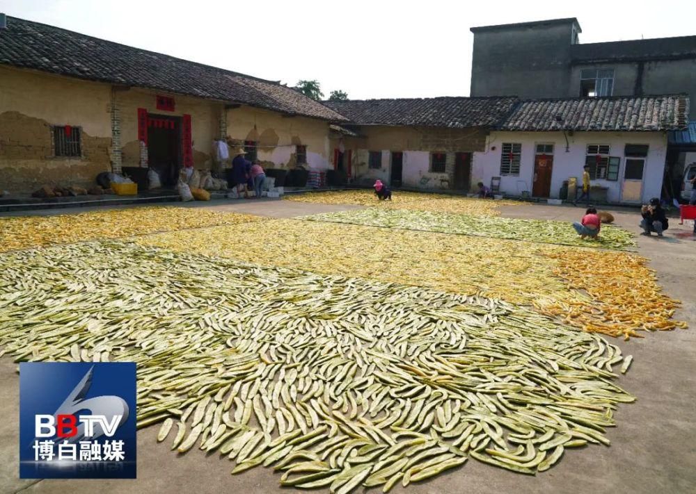 滋味|博白黄瓜皮、白粥，夏日酸爽好滋味！