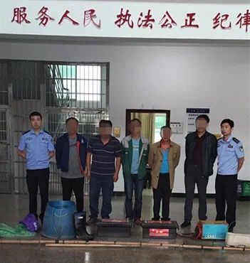 男子|浏阳五名男子非法捕捞将自己“捕”入法网
