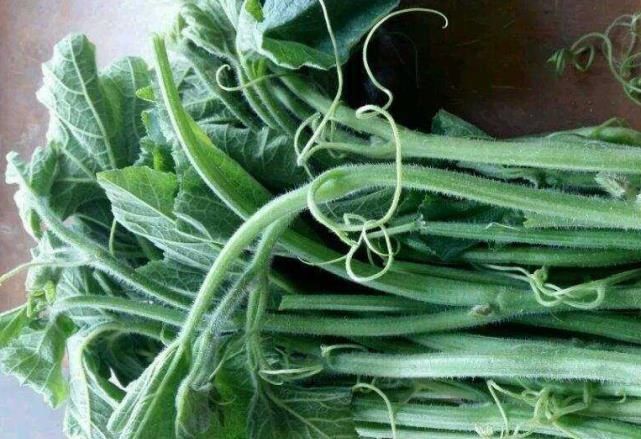  小蛮|立秋后，碰到它必买10斤，是菜是药，湿气消失了，帮你瘦出小蛮腰