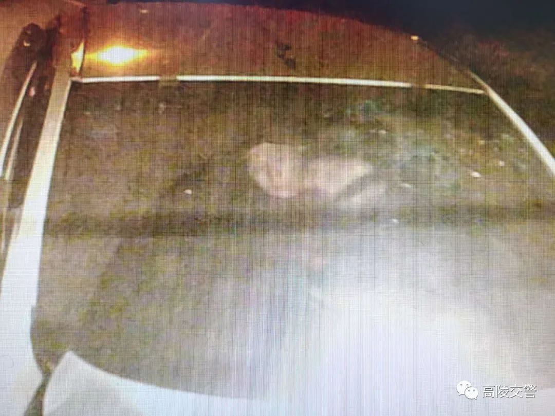  效线索|见到他立刻报警！西安一文身男连续肇事逃逸，警方悬赏征集线索