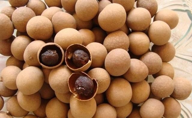  增强|桂圆和此物一起煮，增强记忆力，滋养卵巢，睡眠好了，人也精神了