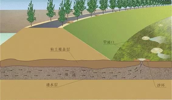  反滤铺盖|必看 | 堤防抢险技术