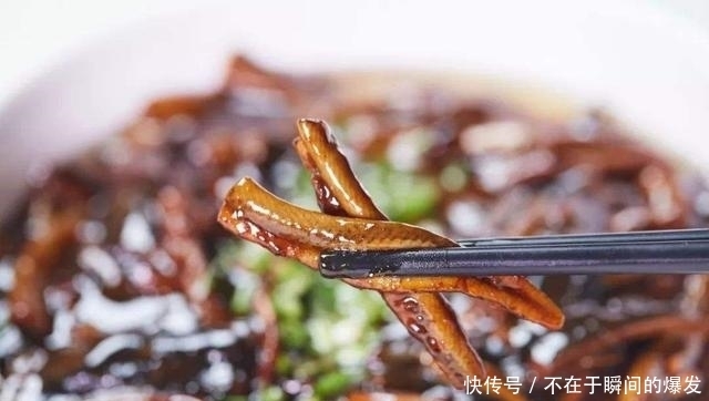 野生|大爷被黄鳝咬后进医院,还真不能怪黄鳝,它才是受害者