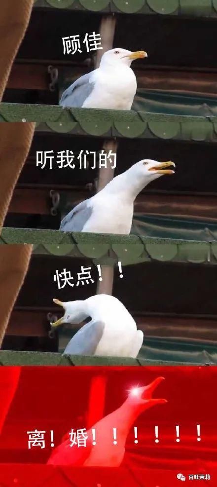  定义|这就是所谓的重新定义30＋？