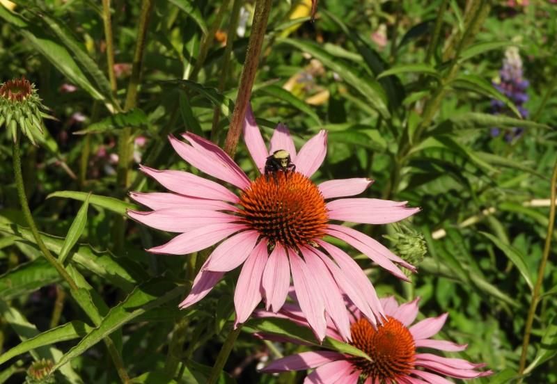  求财|9月第一周，事业风生水起，运势翻倍涨，求财得财的四大生肖