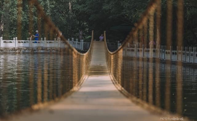  带走多少|无限量捞鱼还能免费全带走！这个暑假太行山自驾游，带娃去虎山