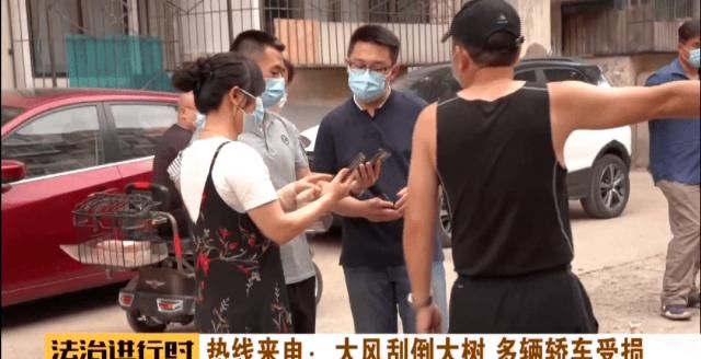  轿车|北京：小区突然刮大风，大树砸坏5辆轿车