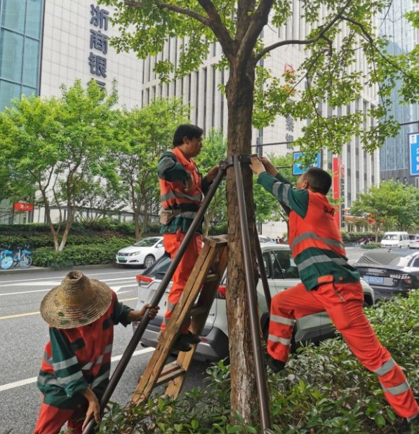 阳台|杭州升级台风预警，“黑格比”正逼近！沿途瀑布“逆流”，高楼阳台被“拆”