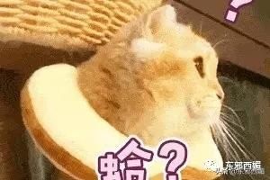  大叔|像这样没有一丝爹味的温柔大叔，请给我来一打