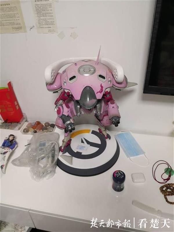  韩国|追3年花了30万的“女友”竟是韩国女星？男子2500张图还原被骗经历