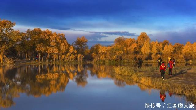 热烈|等待一年,只为胡杨林21天的极致灿烂和浓烈!