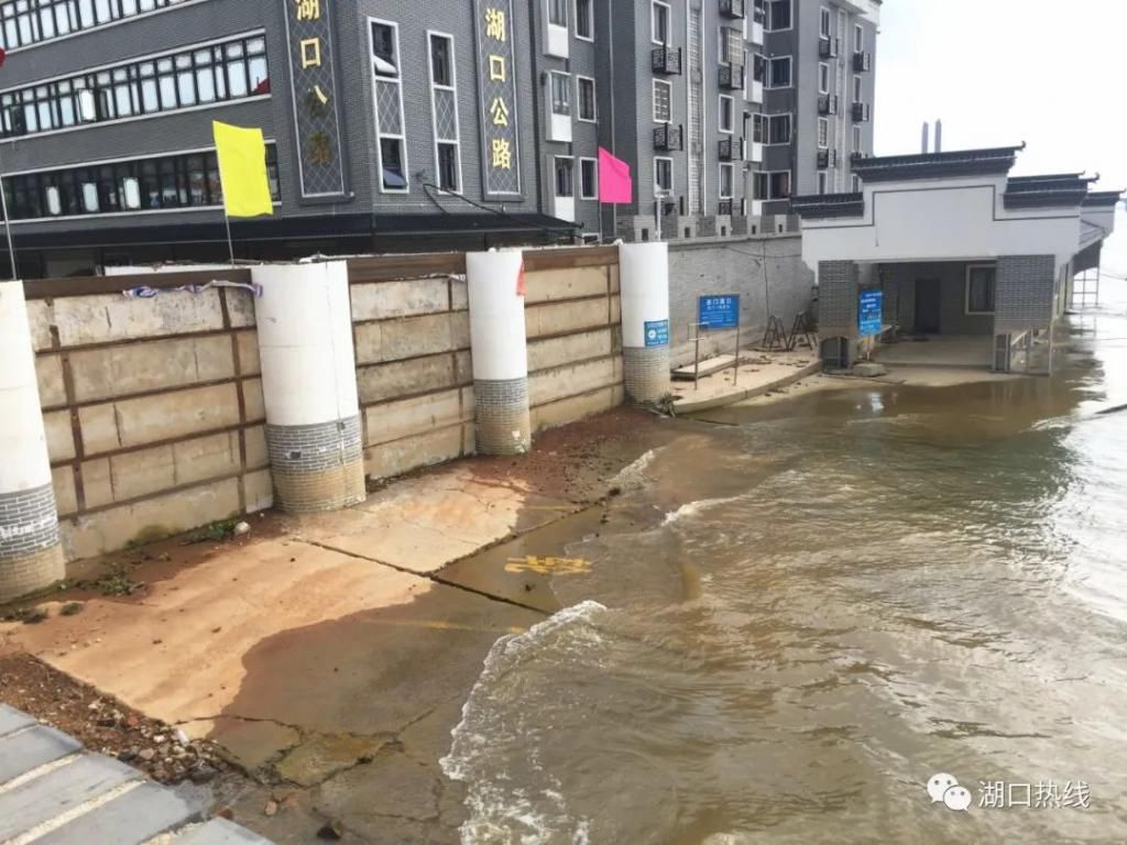  地方|多图直击！湖口西门水位退至闸门以下，这些地方最新水位在这！