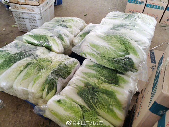 发货|发货啦!你饭桌上的菜,竟然是从这里打包发货的