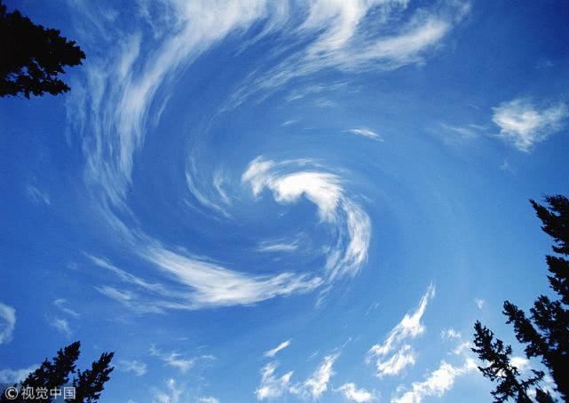  值得|浙大努某某事件，是非比利害更值得坚守