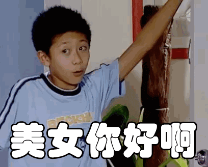  头发|“狂野男孩”刘星终是将别人的头发染成了绿色