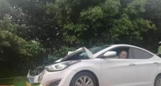 司机|公交司机低头捡物碾死路人，险带全车冲下桥，交警：行人违规上桥