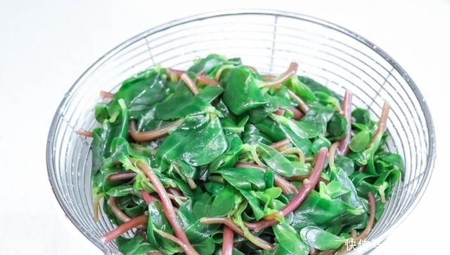  正当|夏天最好吃的野菜，2块钱1大捆，焯个水拌一拌特香，正当季要多吃