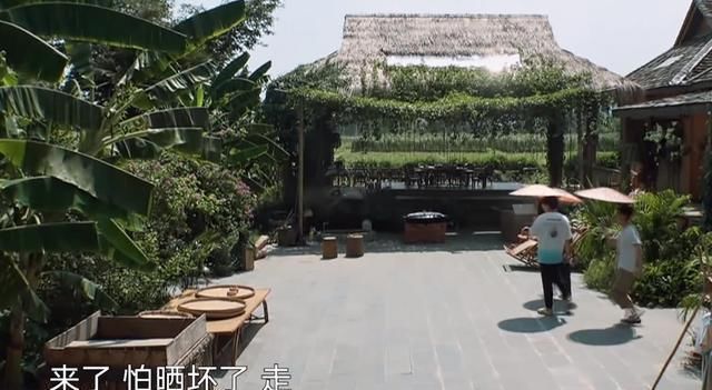 关系户|亮点不断!《向往的生活》迎来最强关系户,盼了三期,何炅终圆梦