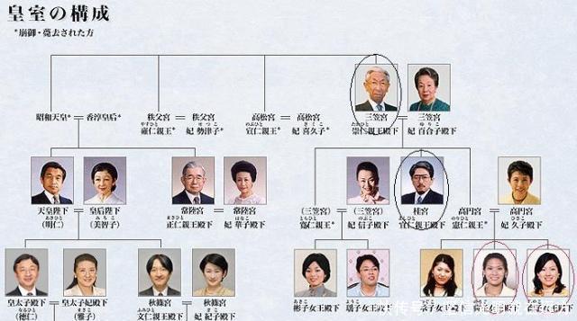 身体健康|日本皇室唯一金孙悠仁比起身体健康,日本人更担心他的智商!