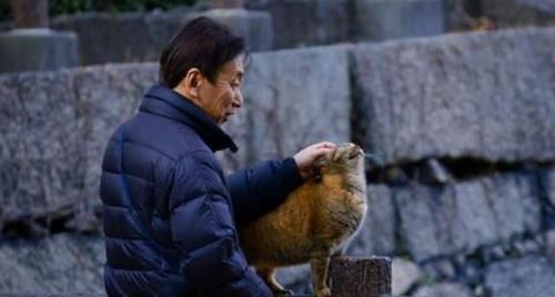 答案|丁克族活着更潇洒？首批丁克族的30年经历，告诉你真正的答案