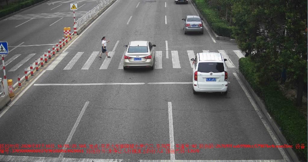 曝光|泰安这些车和人被警方曝光！原因是……