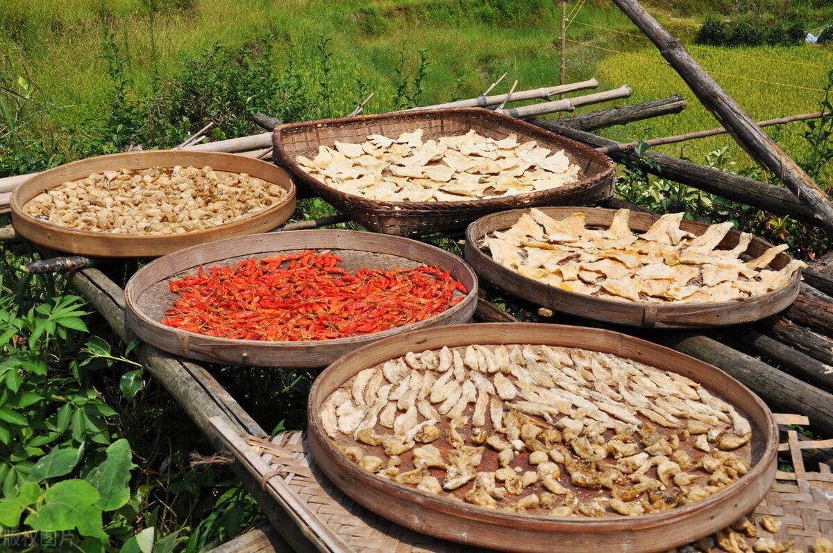 回来|异乡人：秋天了，故乡等你回来晒太阳